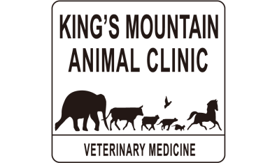 King's Mountain Animal Clinic-HeaderLogo